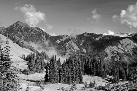 Framed Olympic Mountains I Print