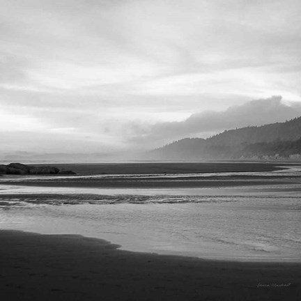 Framed Salt Creek IV Print