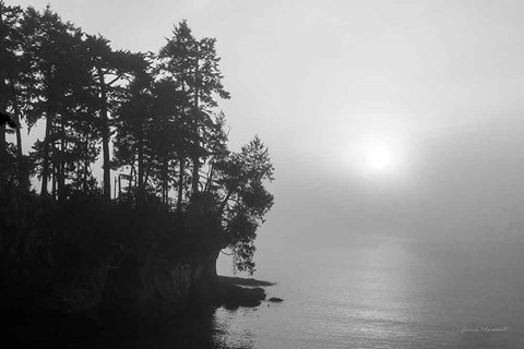 Framed Tongue Point Print