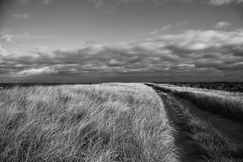 Framed Road to the Beach Print