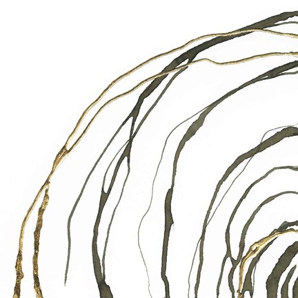 Framed Not Quite Concentric I Print