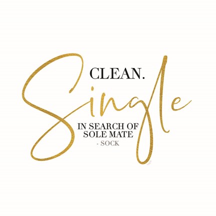 Framed Laundry Art IX-Single Sock Print