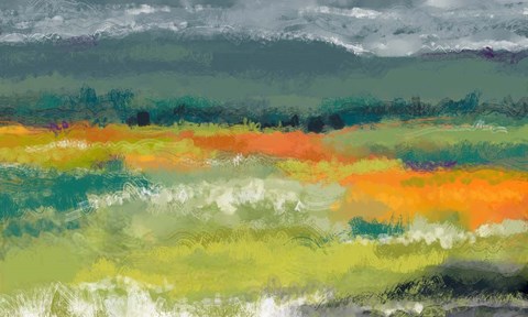 Framed Cloudy Day In The Mountains Print