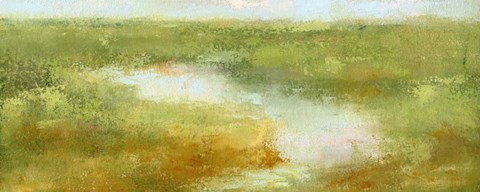 Framed Cape Cod Marshes Print