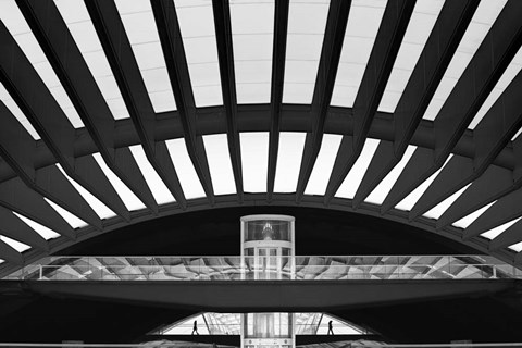 Framed Moon Duo Print