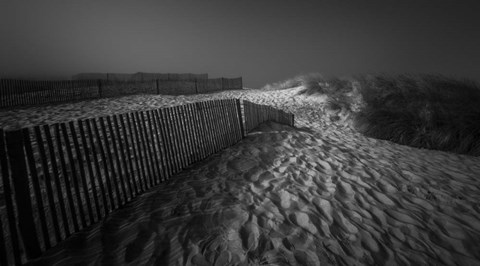 Framed Where Shadows Lie Print