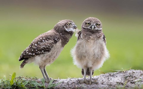 Framed Leave Me Alone! Print