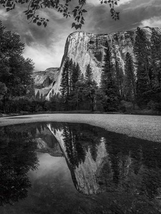 Framed Yosemite I Print
