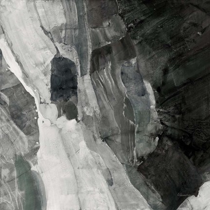 Framed Rocky Ravine BW Print