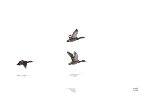 Framed Three Departing Print