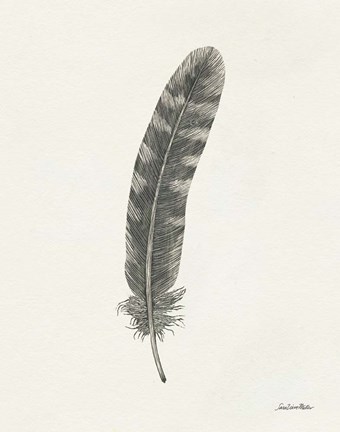 Framed Springtime Feather I Print