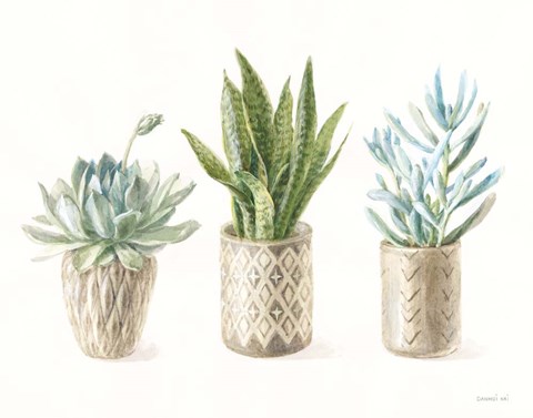 Framed Desert Greenhouse VII Print