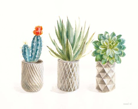 Framed Desert Greenhouse VIII Print