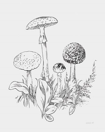 Framed Natures Sketchbook II Bold Light Gray Print