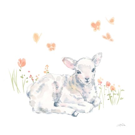 Framed Spring Lambs III Print