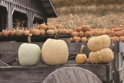 Framed Autumn Pumpkin Harvest Print