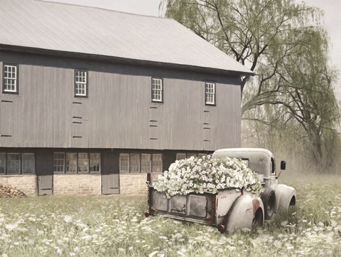 Framed Barn Daze Print
