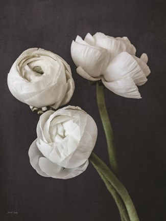 Framed Refined Beauty III Print