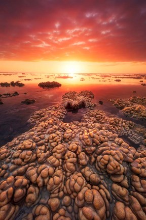 Framed Low Tide on the Lagoon of Saint Leu Print