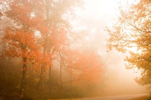 Framed Beyond The Fog Print