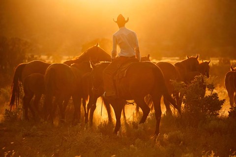 Framed Movin&#39; Em Out Print