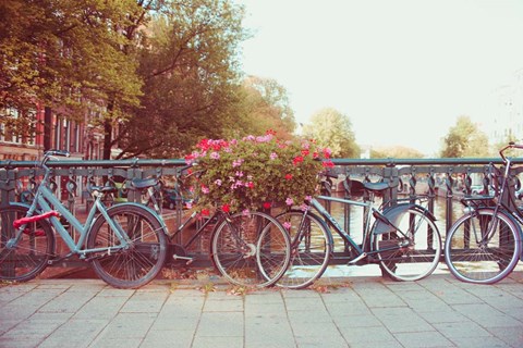 Framed Amsterdam Bikes No. 1 Print