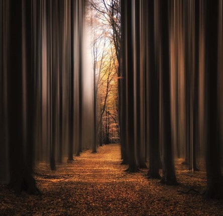 Framed Don&#39;t Wake Me Up Print