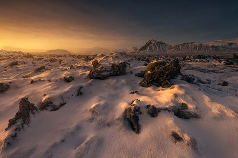 Framed Snowy Landscape Print