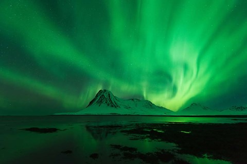 Framed Green Landscape Print