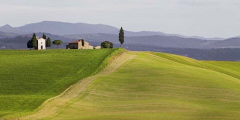 Framed Val d&#39;Orcia, Siena, Tuscany (detail) Print