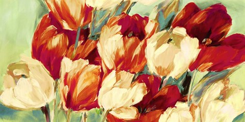 Framed Red &amp; White Tulips Print