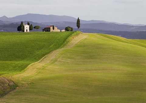 Framed Val d&#39;Orcia, Siena, Tuscany Print