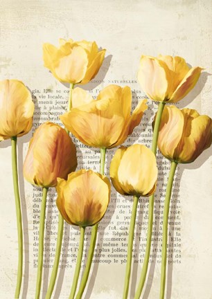Framed Tulipes et Histoires Print