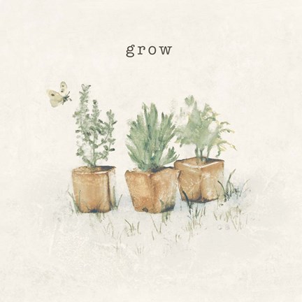 Framed Garden Plants Print