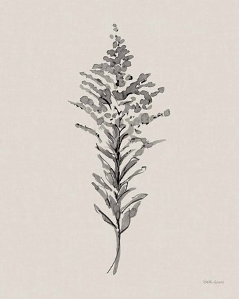 Framed Harvest Classics IV on Cream Print