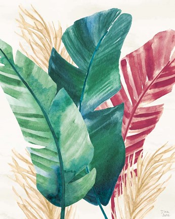 Framed Tropics II Print