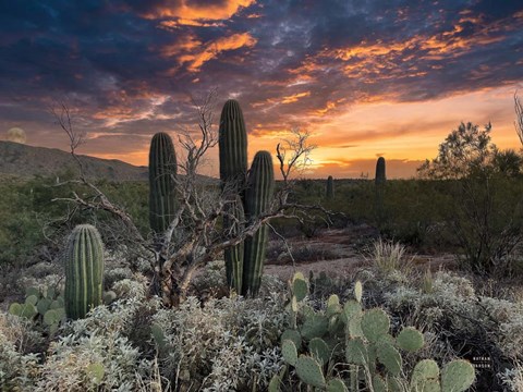 Framed Sunset Moonrise Print