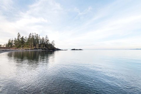 Framed Northwest Islands Print