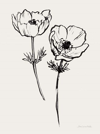 Framed Ink Anemones I Black Print