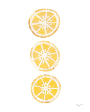 Framed Lemon Slices II Print