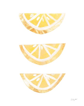 Framed Lemon Slices I Print