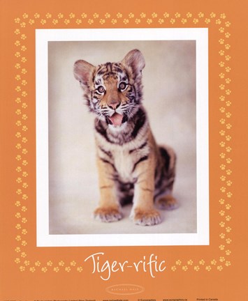 Framed Tiger-Ific Print