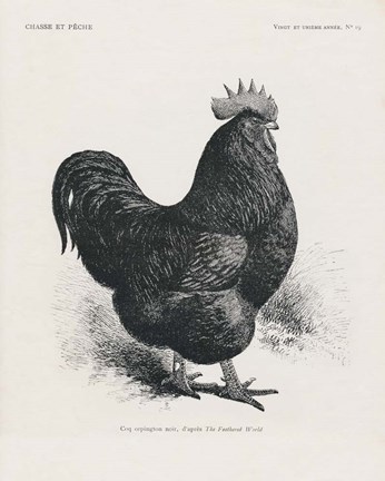 Framed Vintage Farm Life II Print