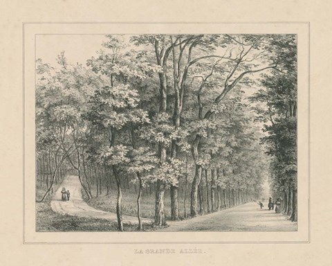 Framed French Park Etching II Print