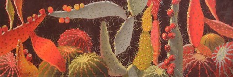 Framed Sundown Again Print