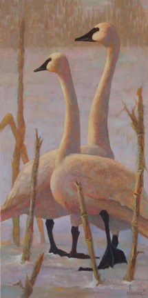 Framed Winter Wandering Print