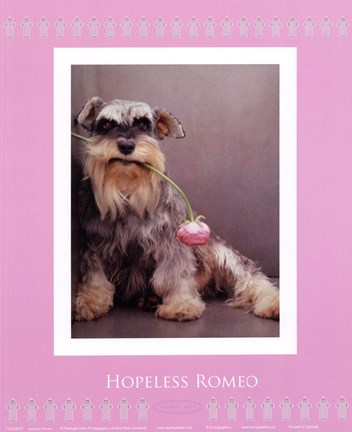 Framed Hopeless Romeo Print