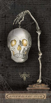 Framed Apothecary Noir VII Print