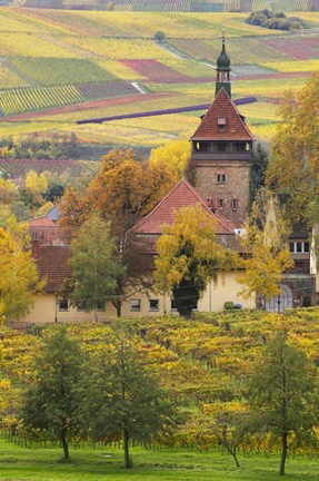 Framed Church And Vineyards, Germany Print