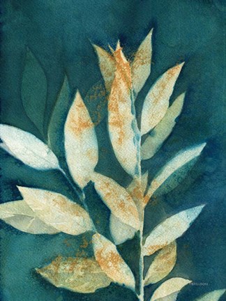 Framed Shower of Gold III Print